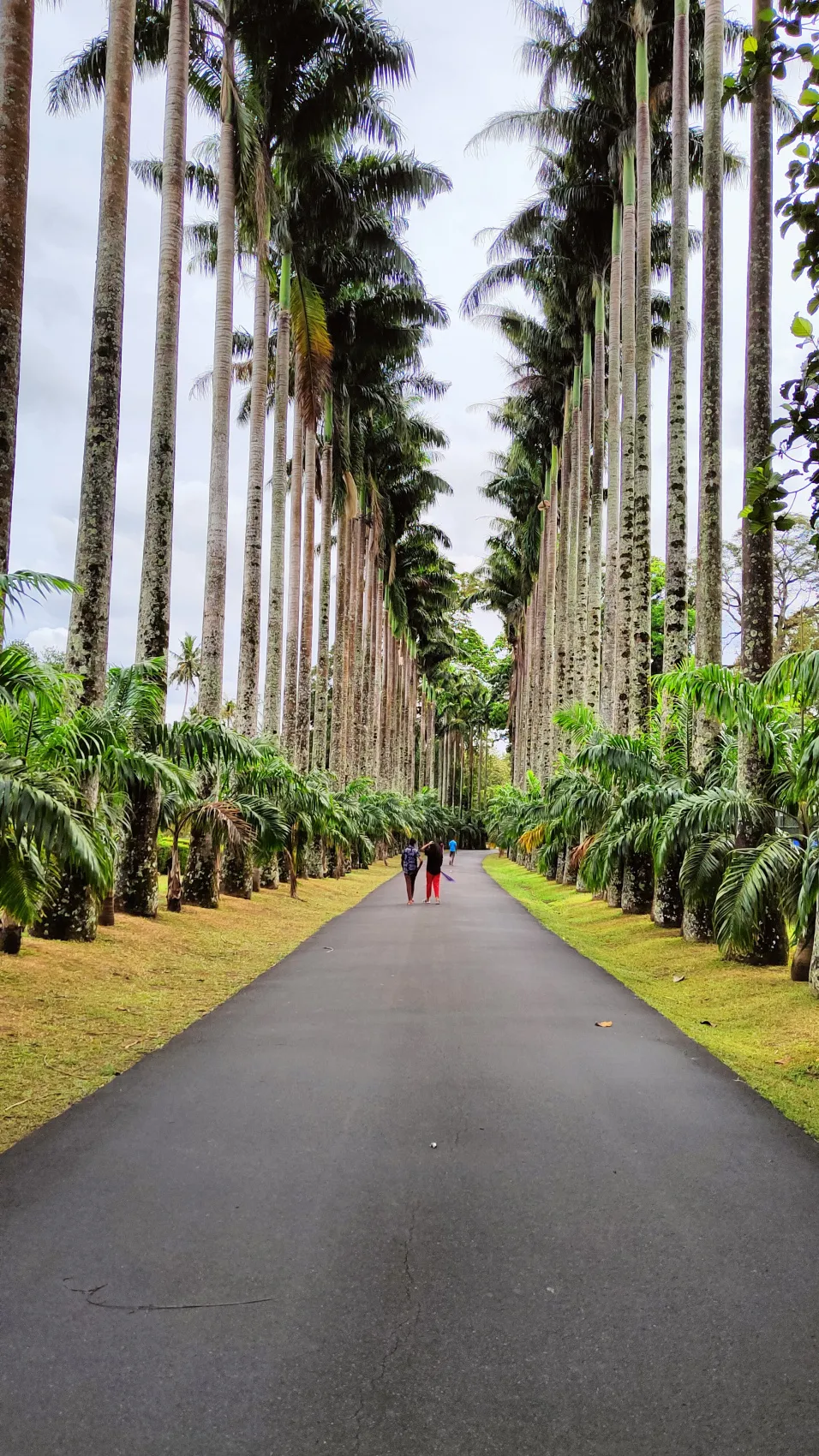 Тур 8 дней (5 активных и три дня на побережье) (7/65)