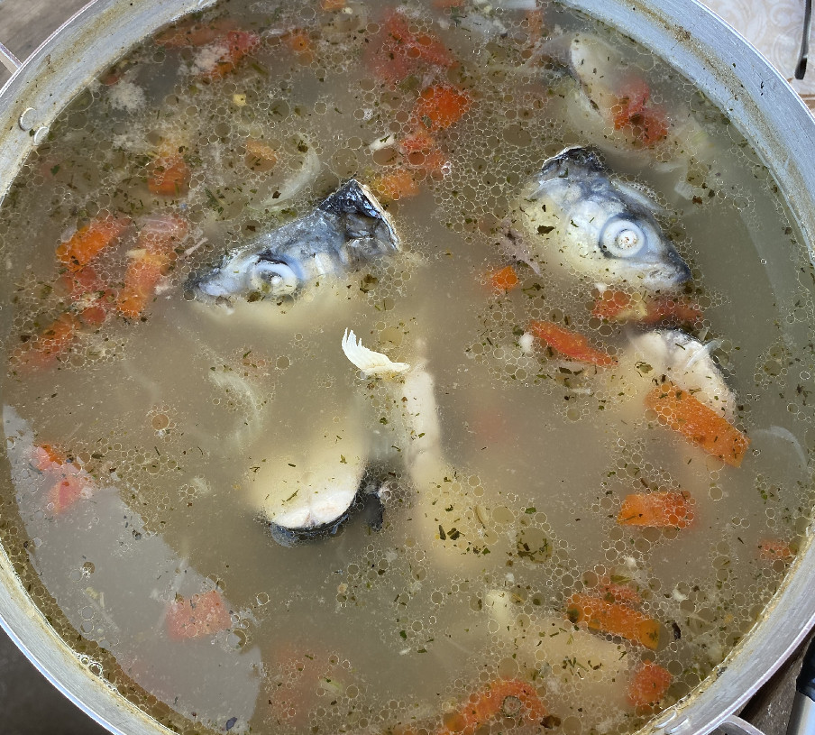 Красота и Сияние Байкала: Иркутск, Малое море, Ольхон, Огой и Сарминское ущелье! (27/69)