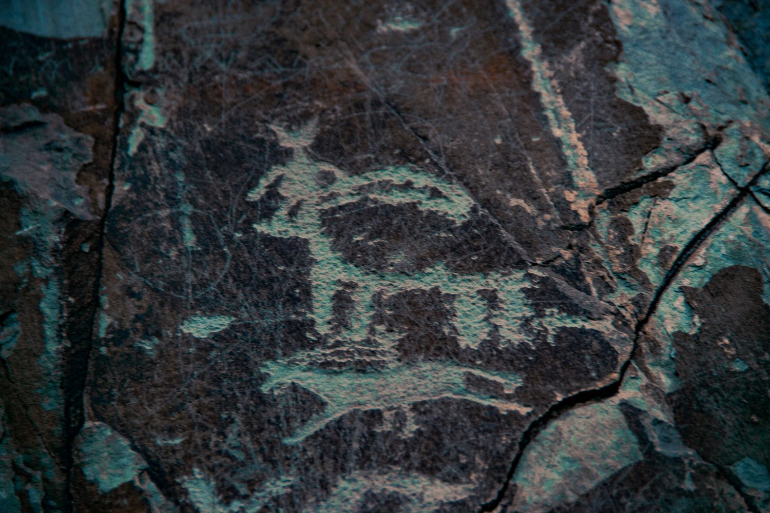 Золотое Кольцо Алтая - самостоятельный тур с поддержкой! (51/95)