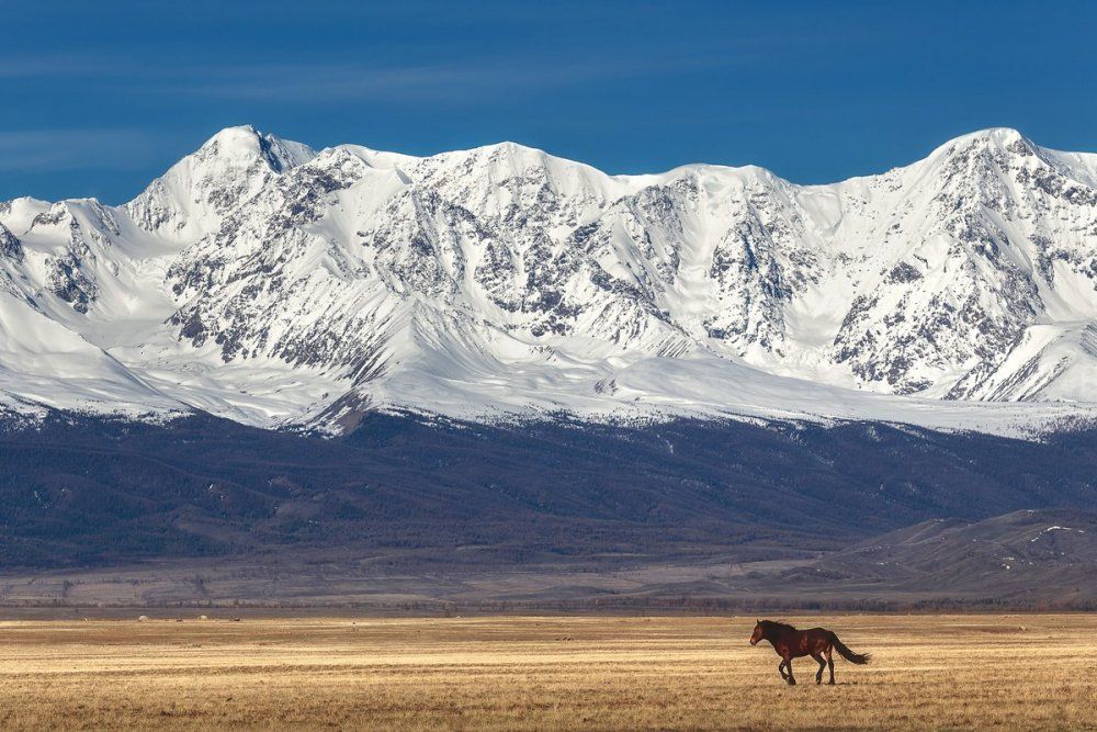 Золотое Кольцо Алтая - самостоятельный тур с поддержкой! (72/95)