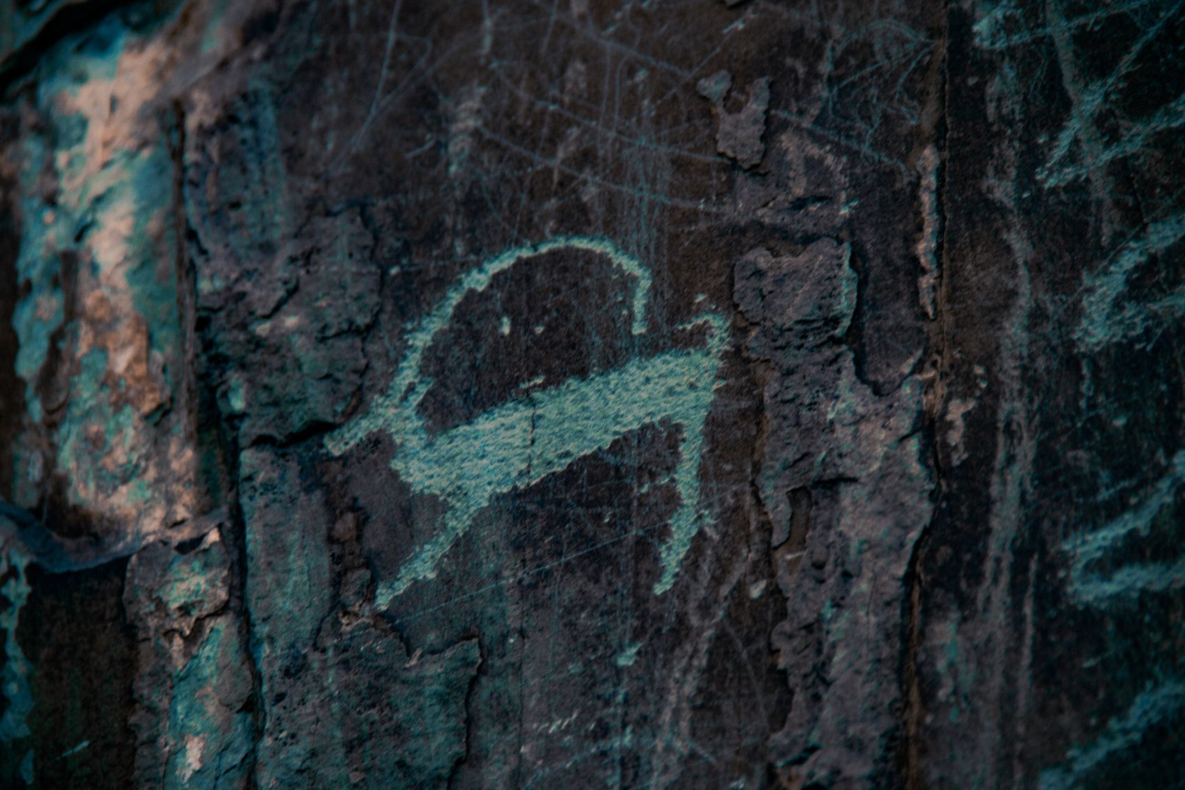 Золотое Кольцо Алтая - самостоятельный тур с поддержкой! (5/95)