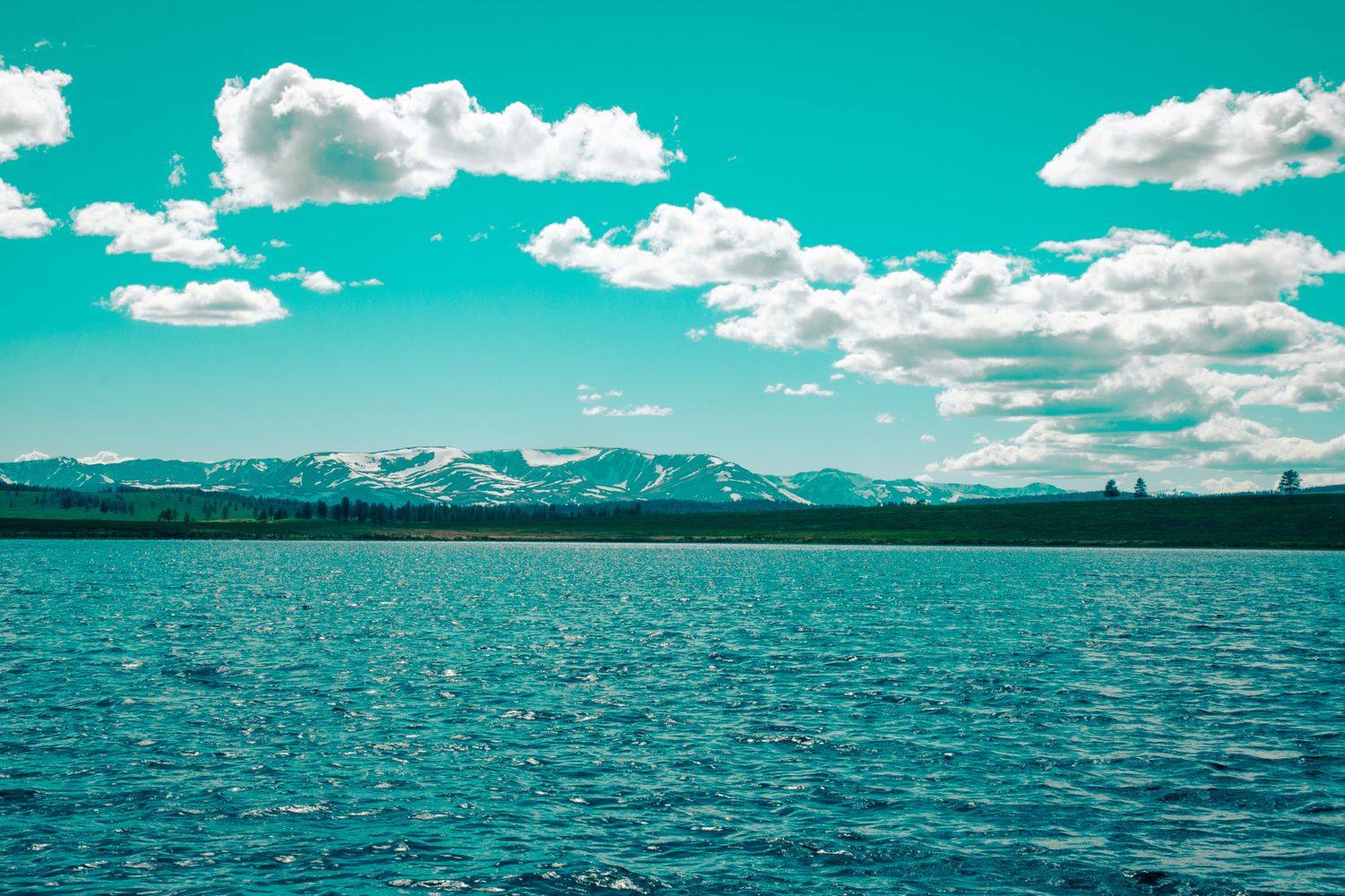 Золотое Кольцо Алтая - самостоятельный тур с поддержкой! (38/95)