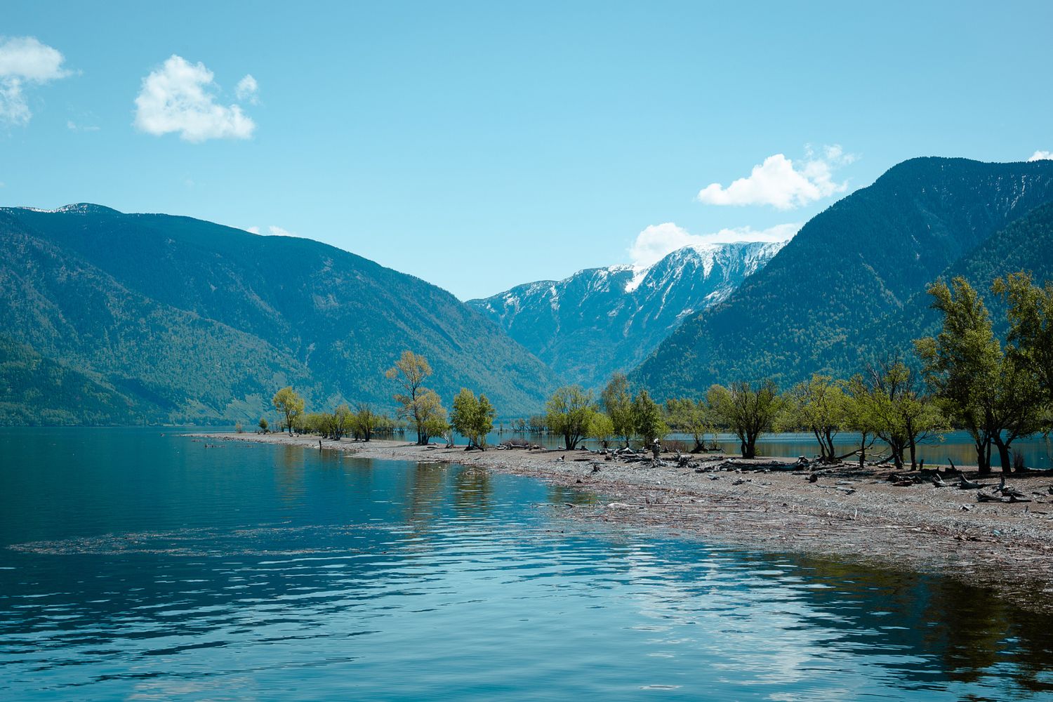 Золотое Кольцо Алтая - самостоятельный тур с поддержкой! (21/95)