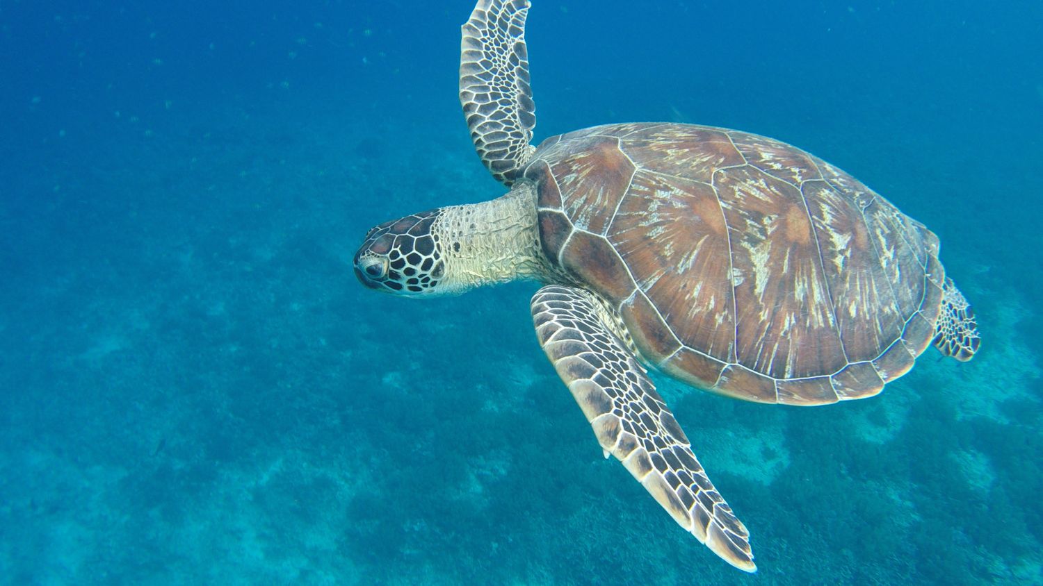 Активные Мальдивы. 8 дней. (55/80)