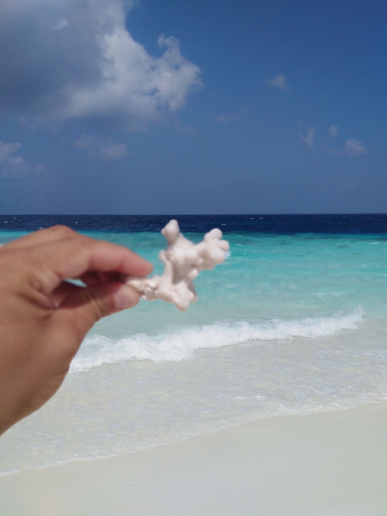 Активные Мальдивы. 8 дней. (48/80)