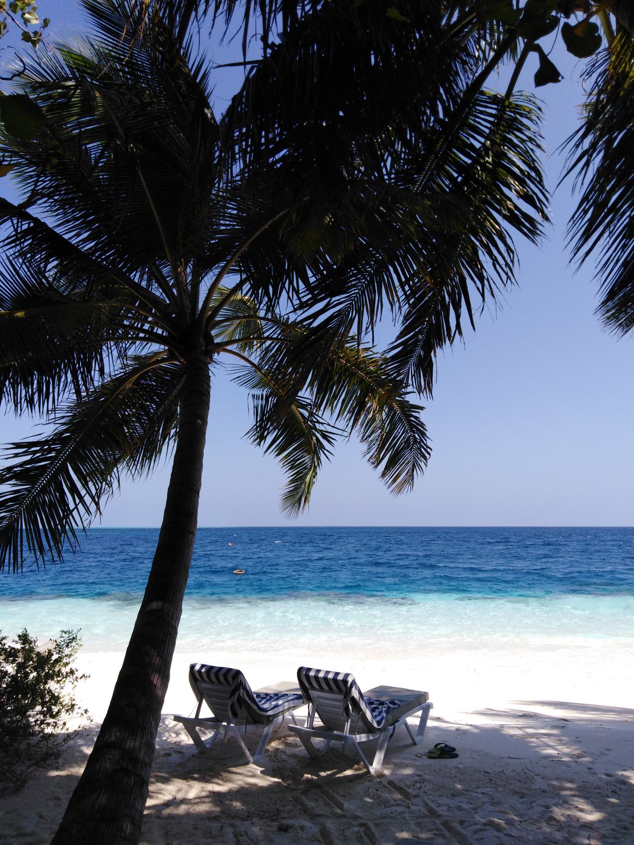 Активные Мальдивы. 8 дней. (31/80)