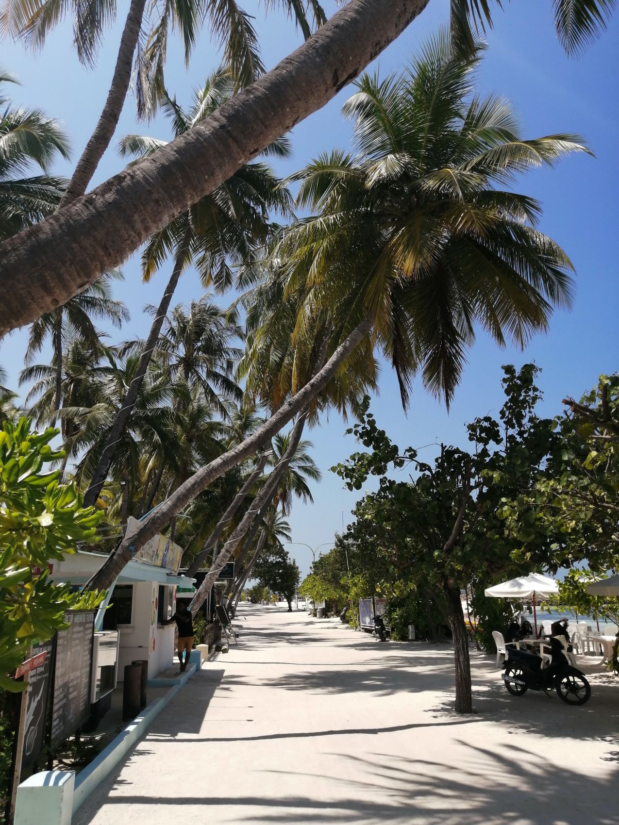 Активные Мальдивы. 8 дней. (20/80)