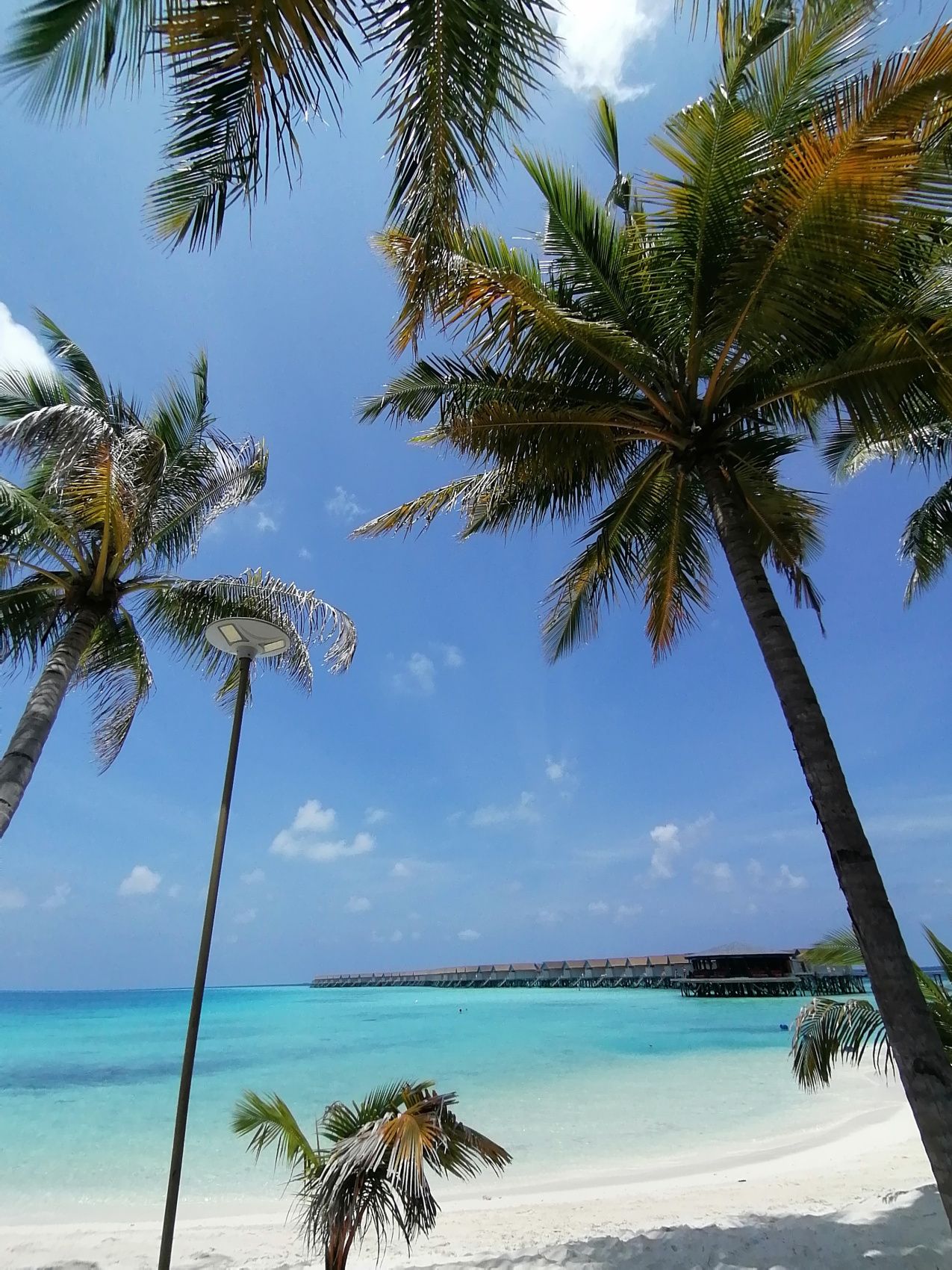 Активные Мальдивы. 8 дней. (9/80)