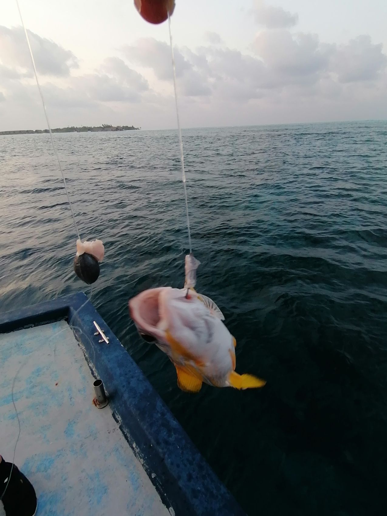 Активные Мальдивы. 8 дней. (15/80)