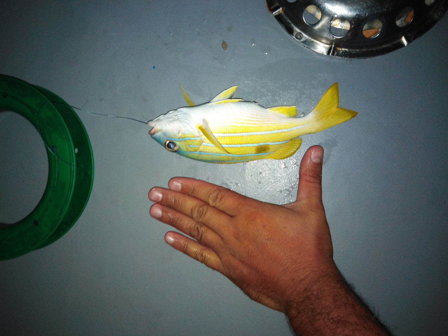 Активные Мальдивы. 8 дней. (44/80)