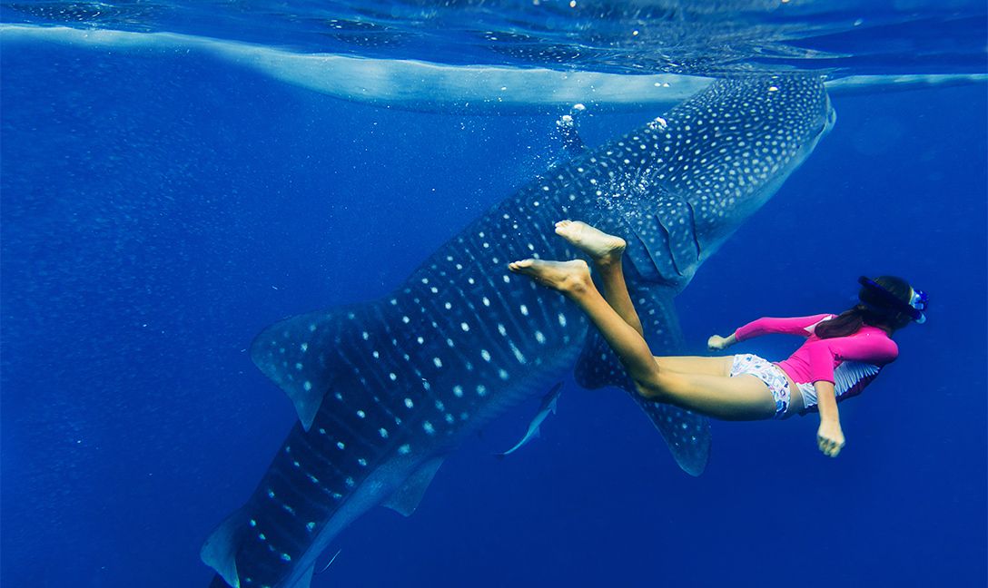 Активные Мальдивы. 8 дней. (4/80)