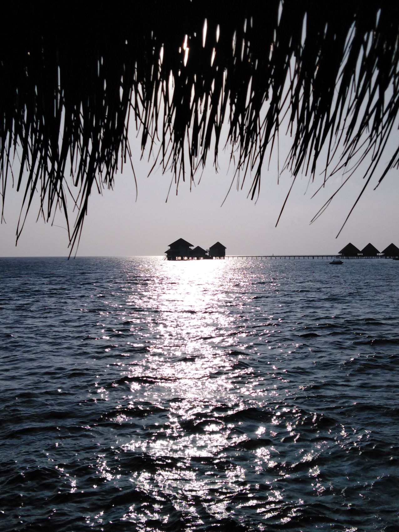 Активные Мальдивы. 8 дней. (23/80)