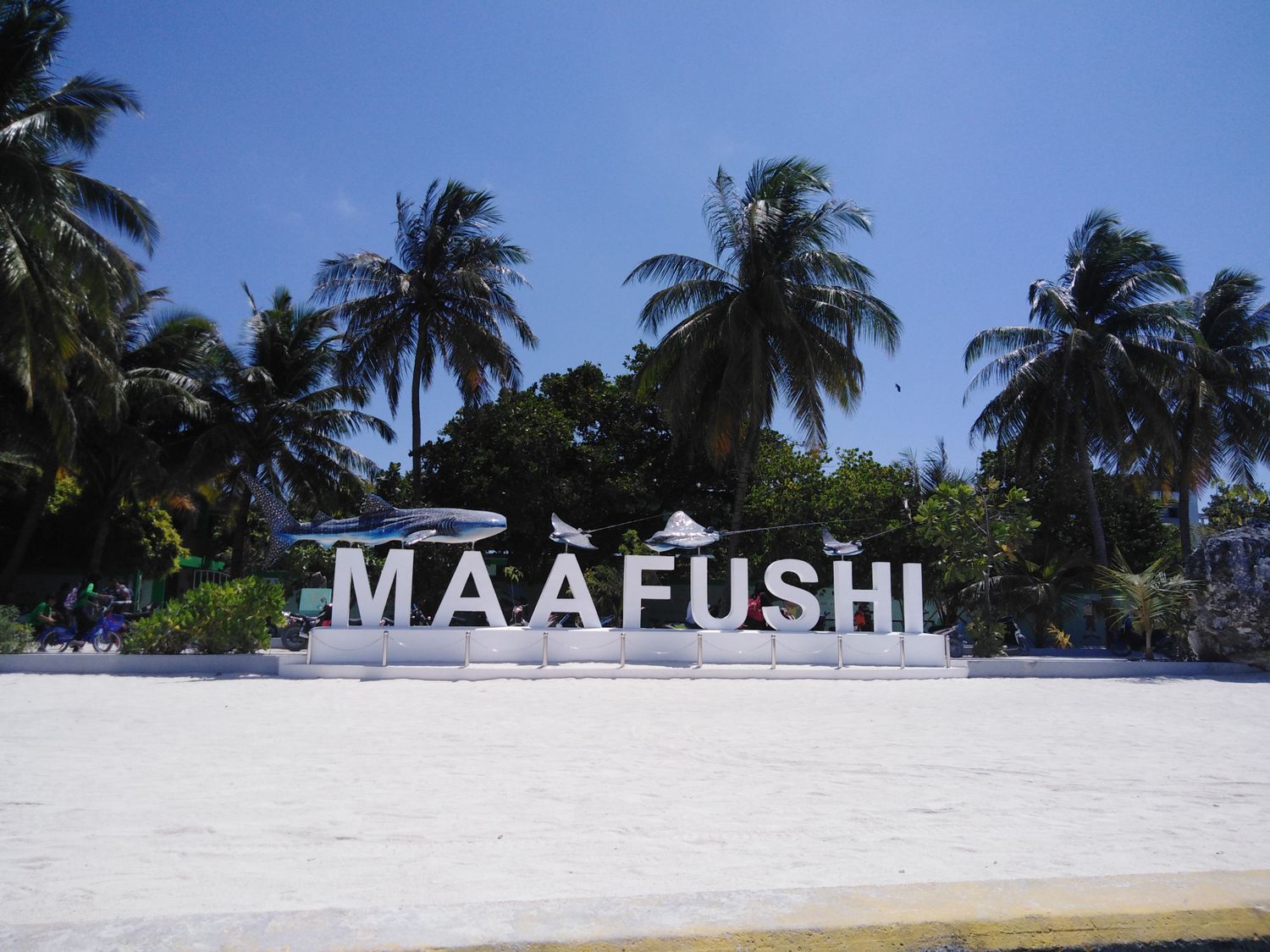 Активные Мальдивы. 8 дней. (21/80)