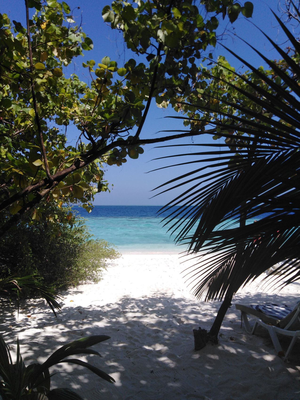 Активные Мальдивы. 8 дней. (36/80)