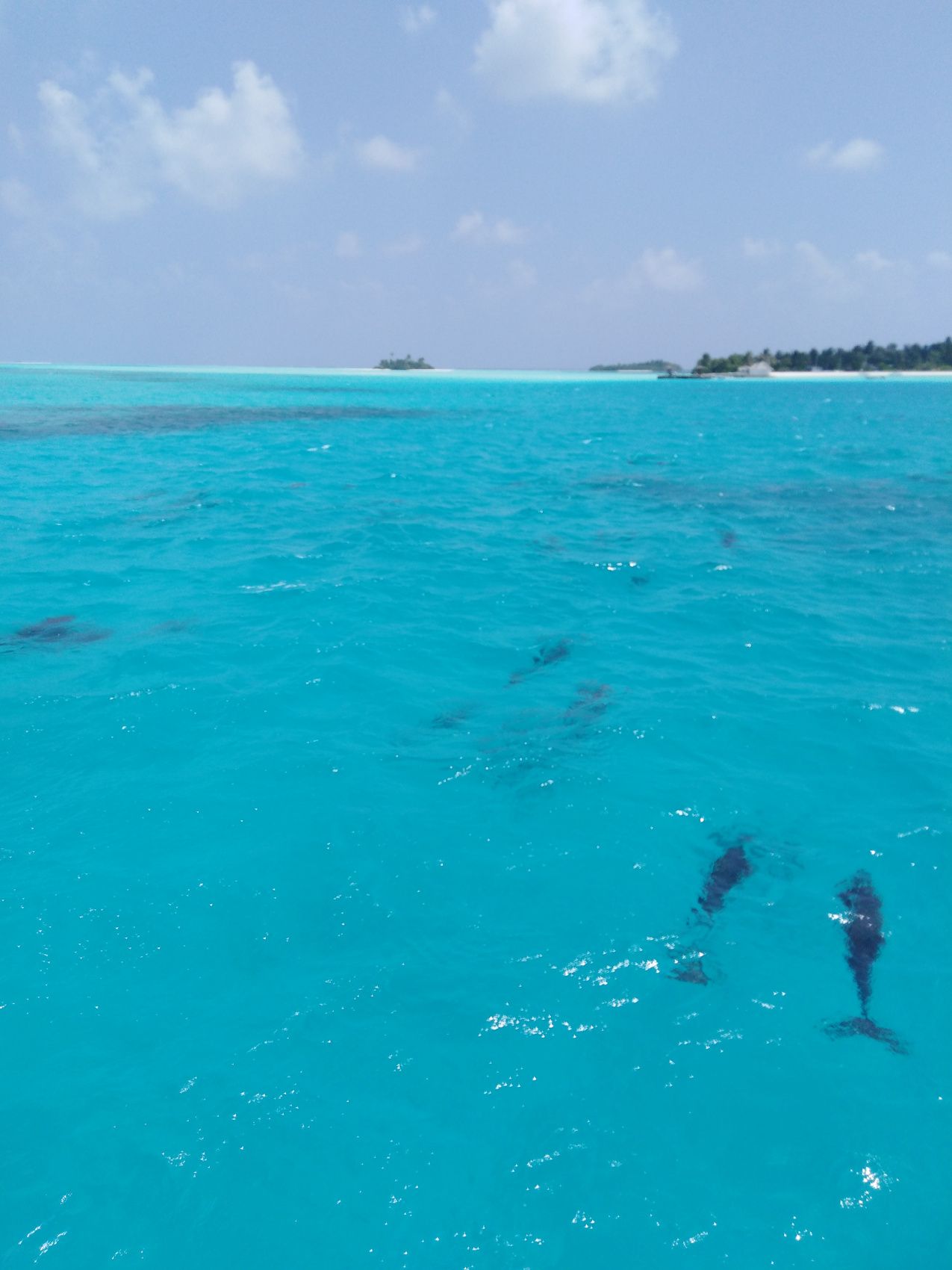 Активные Мальдивы. 8 дней. (51/80)