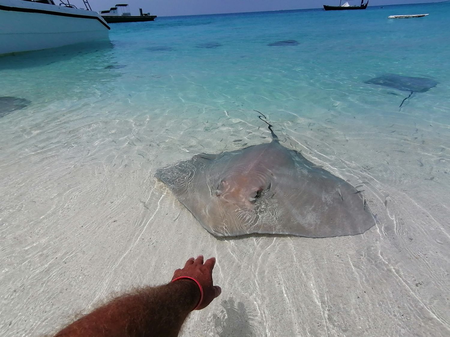 Активные Мальдивы. 8 дней. (14/80)