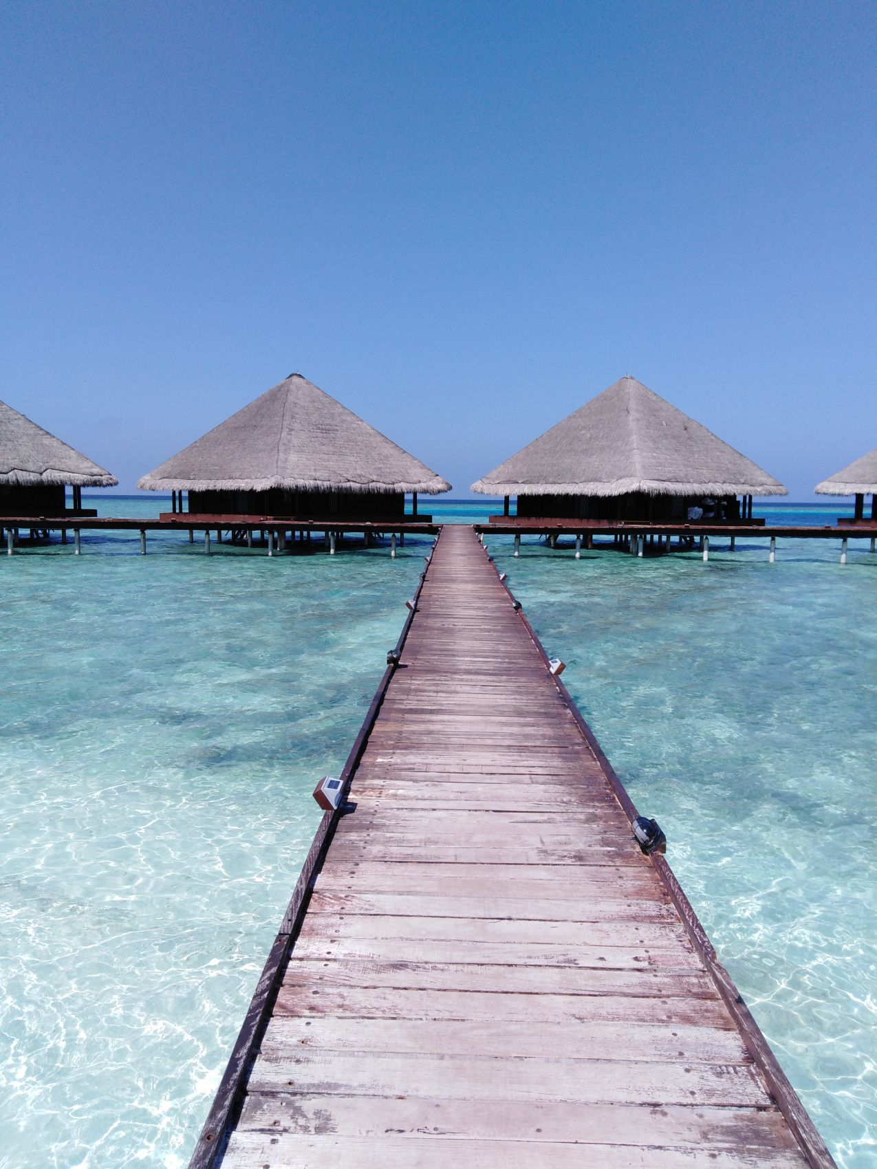 Активные Мальдивы. 8 дней. (38/80)