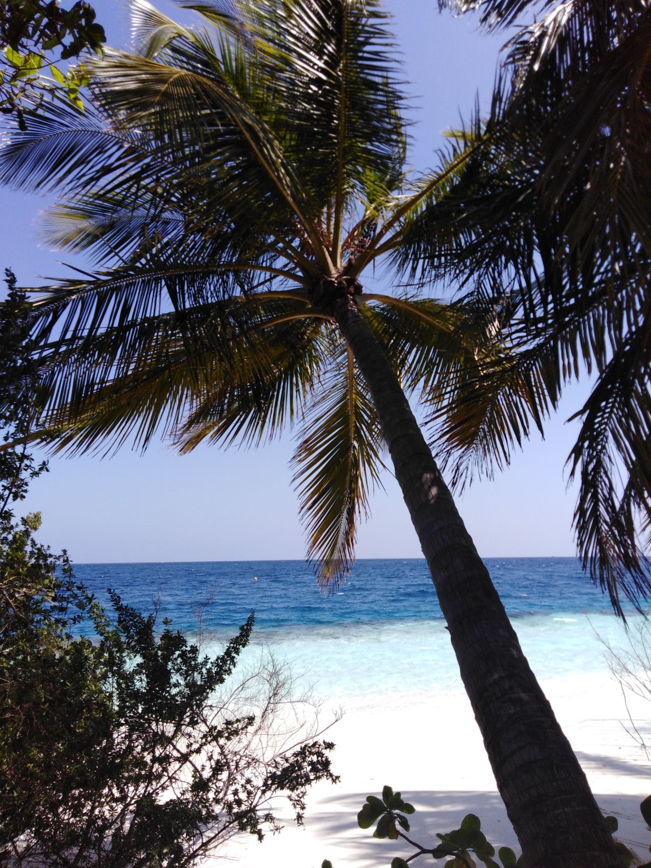 Активные Мальдивы. 8 дней. (37/80)