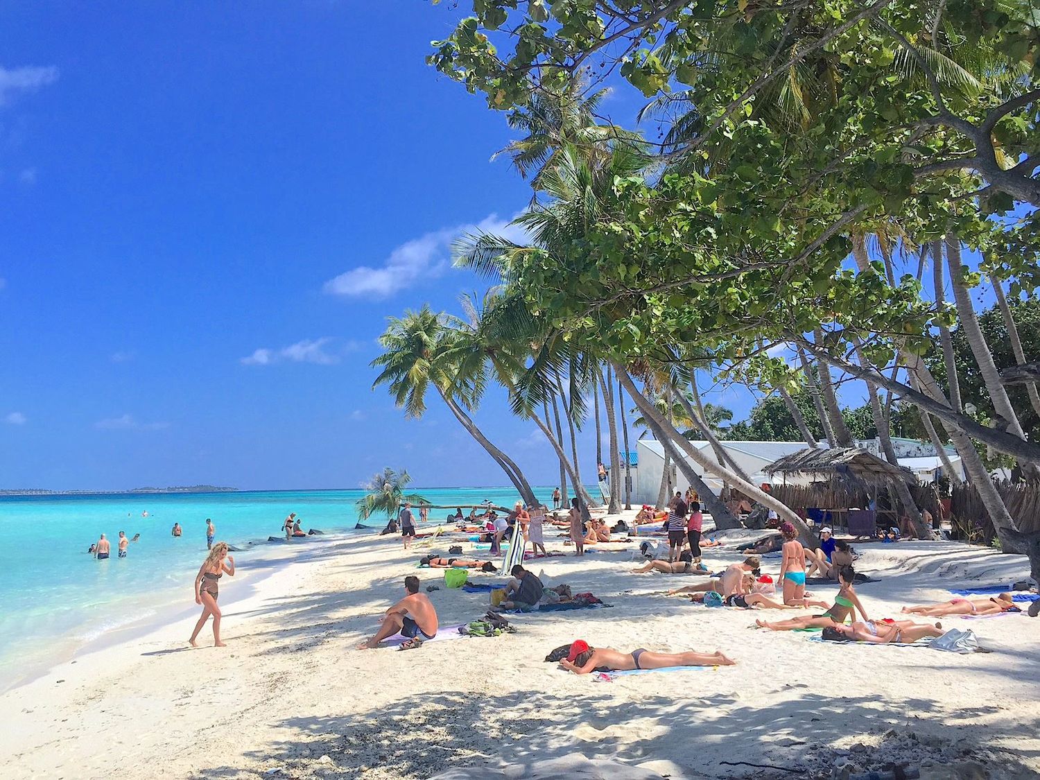 Активные Мальдивы. 8 дней. (3/80)