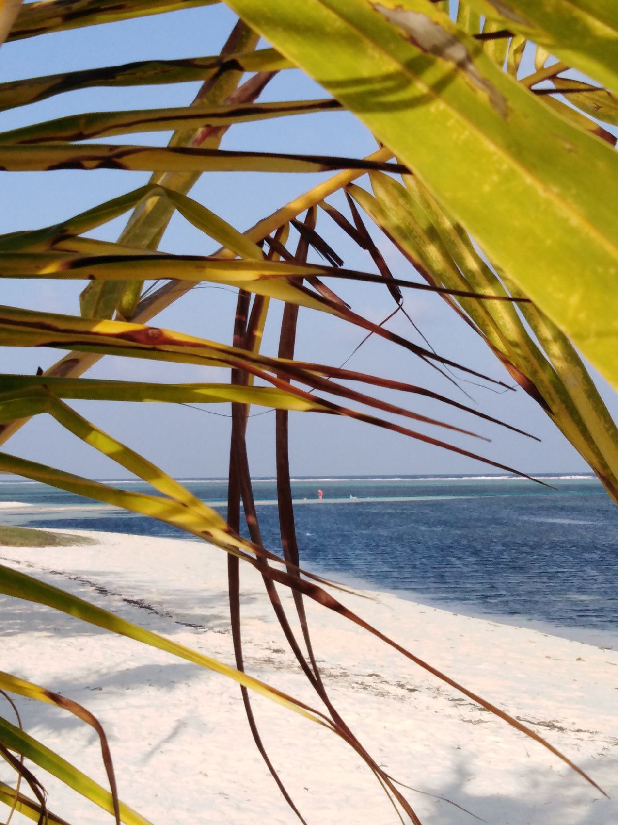 Активные Мальдивы. 8 дней. (45/80)