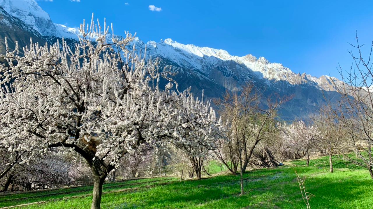 Культурный тур в Хунзу (16/66)