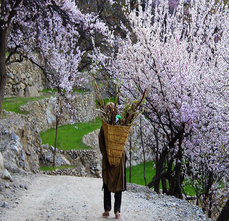 Культурный тур в Скарду (4/35)