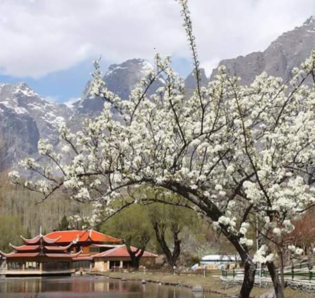 Культурный тур в Скарду (7/35)