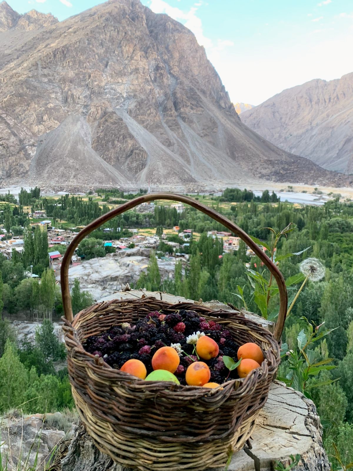 «Таллай Ла Трек» (8/53)