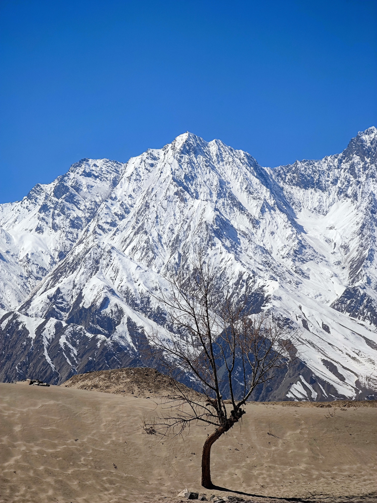 Поход в долину Нангма (13/52)