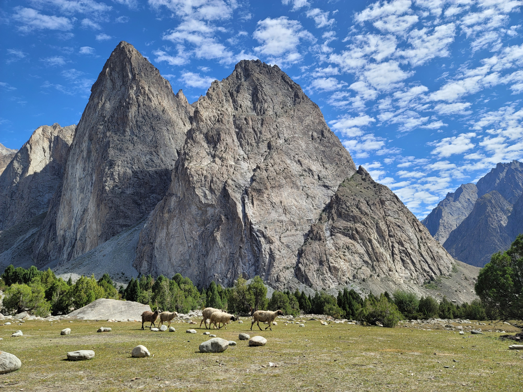 Поход в базовый лагерь Машербрум (K1) (7/52)