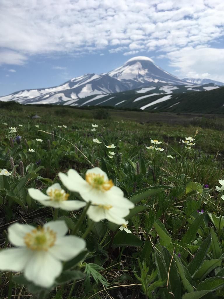 Многогранная Камчатка (16/48)