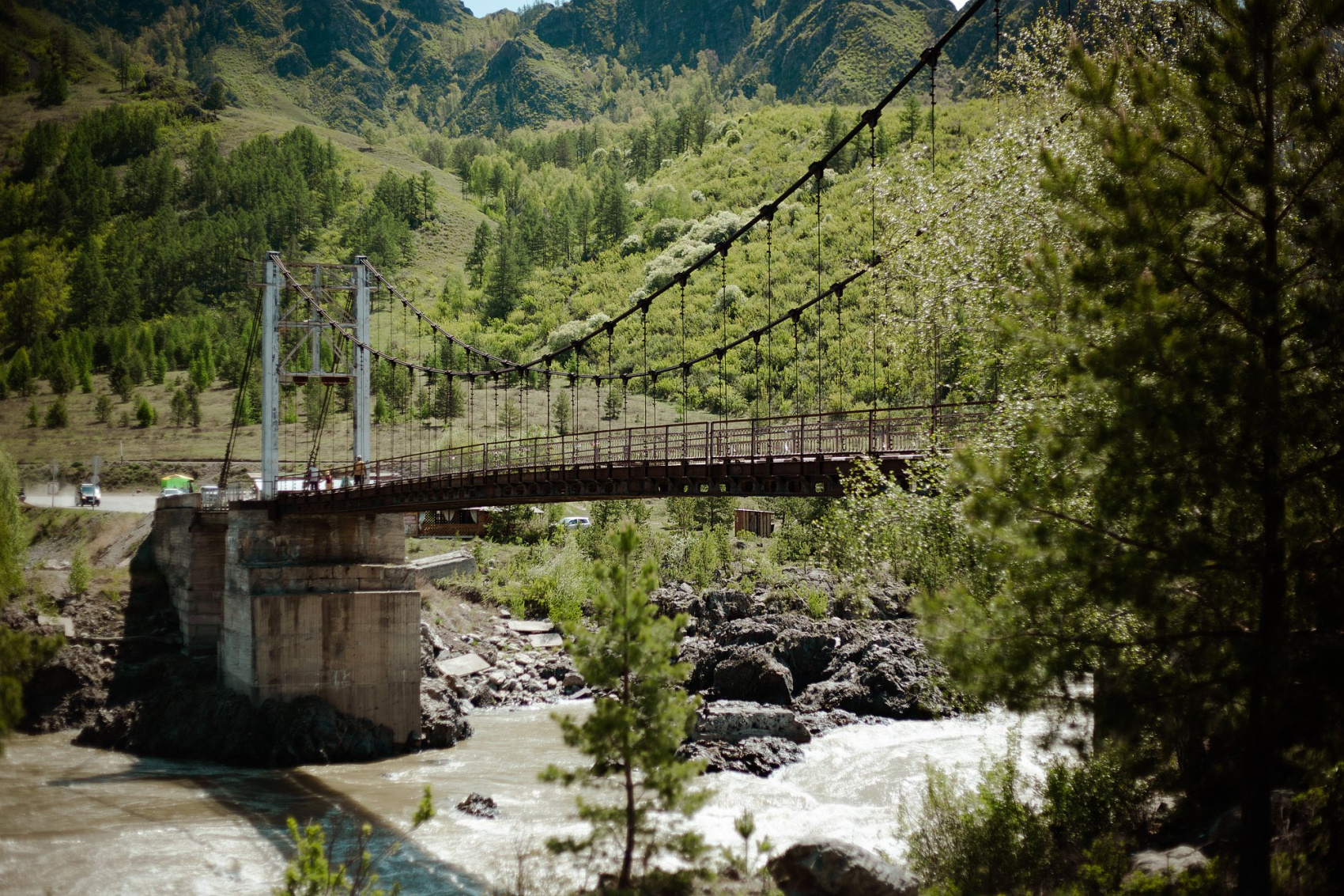 Лучшее На Алтае 2026. Легкий тур до Монголии по Чуйскому тракту! (31/58)