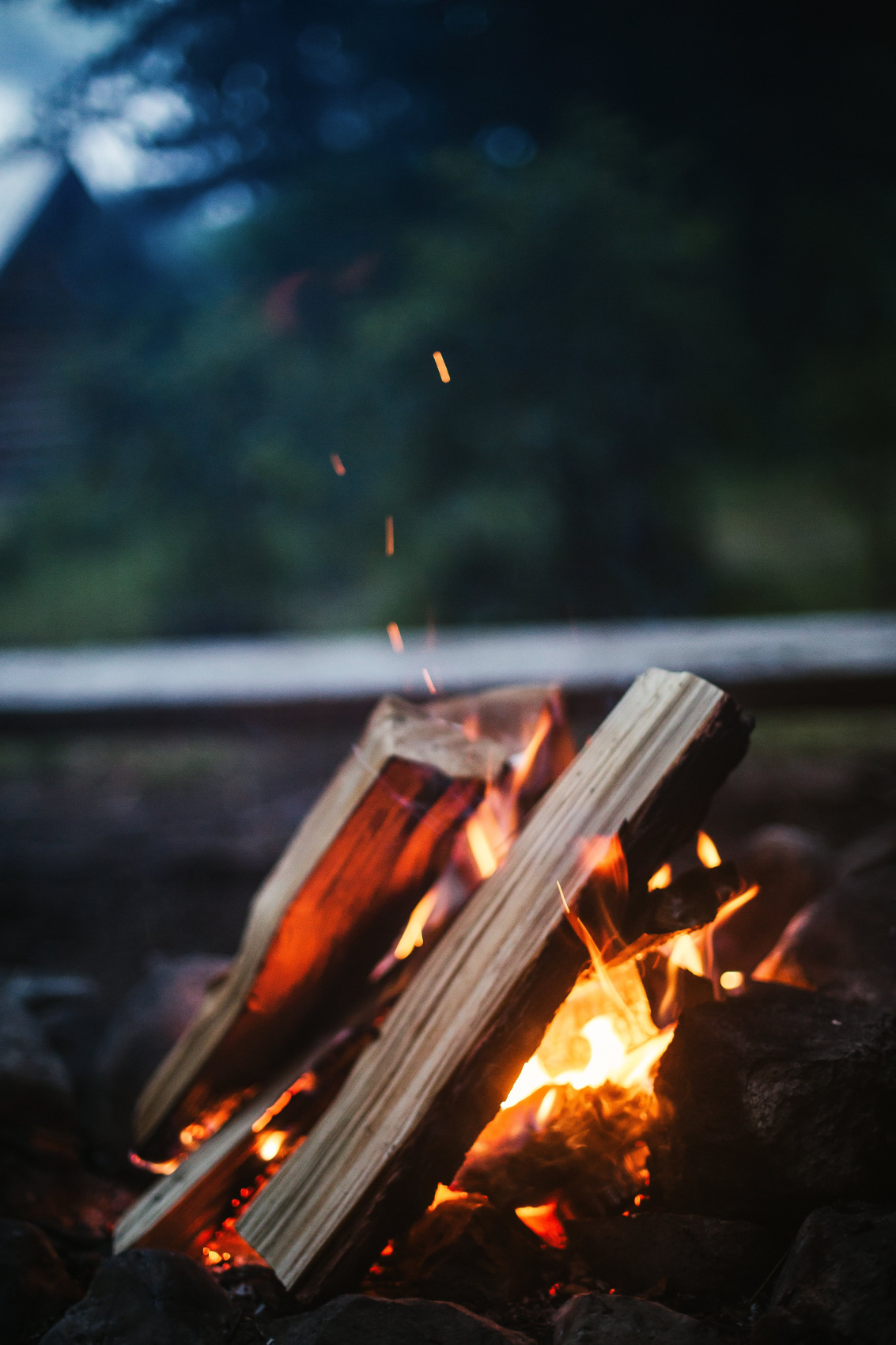 Лучшее На Алтае 2026. Легкий тур до Монголии по Чуйскому тракту! (3/58)