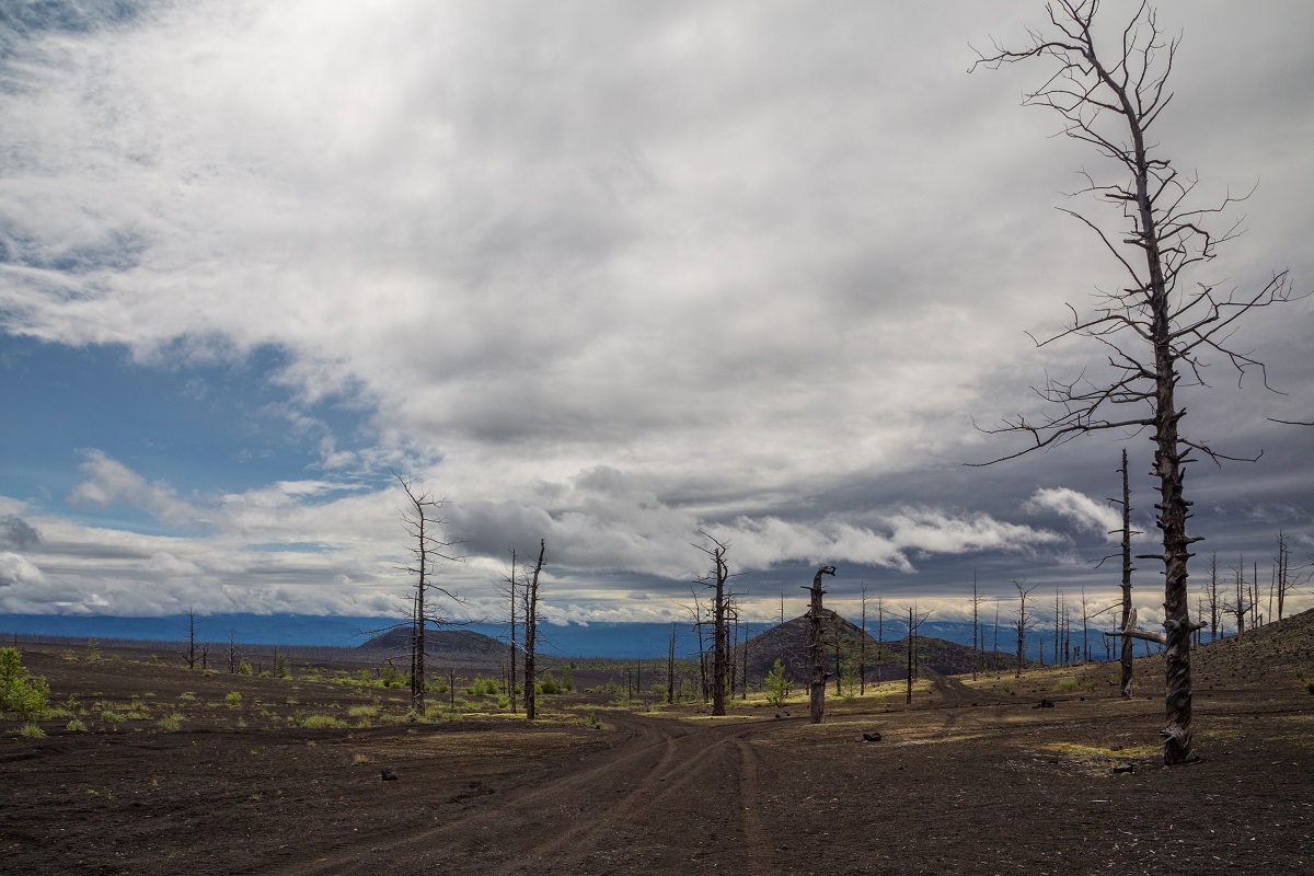 Огненные Вершины (10/36)