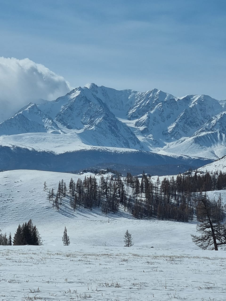 Звуки духов Алтая      New!!! (18/53)