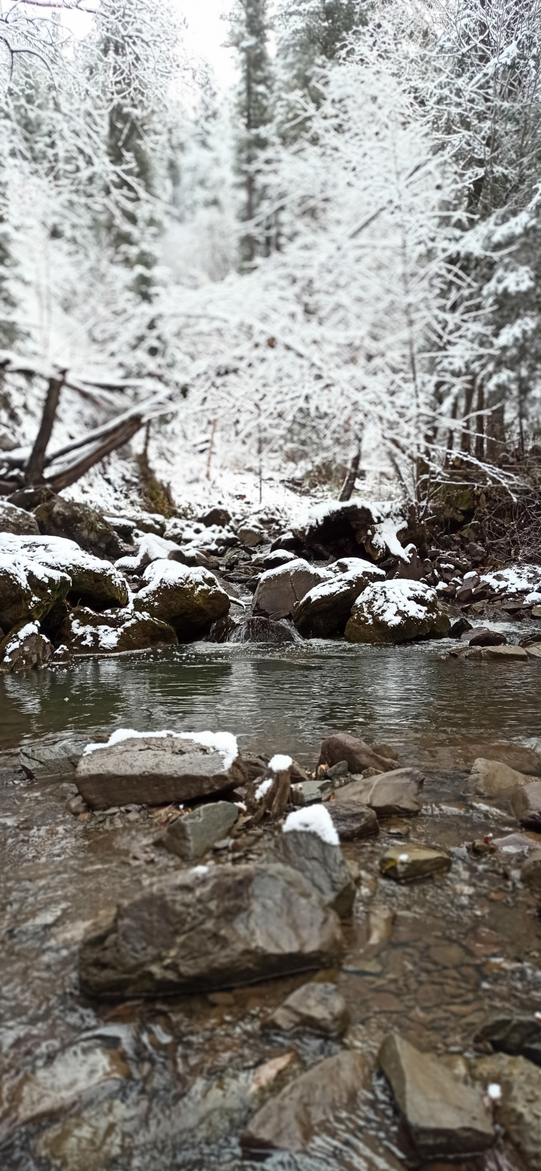 Звуки духов Алтая      New!!! (15/53)