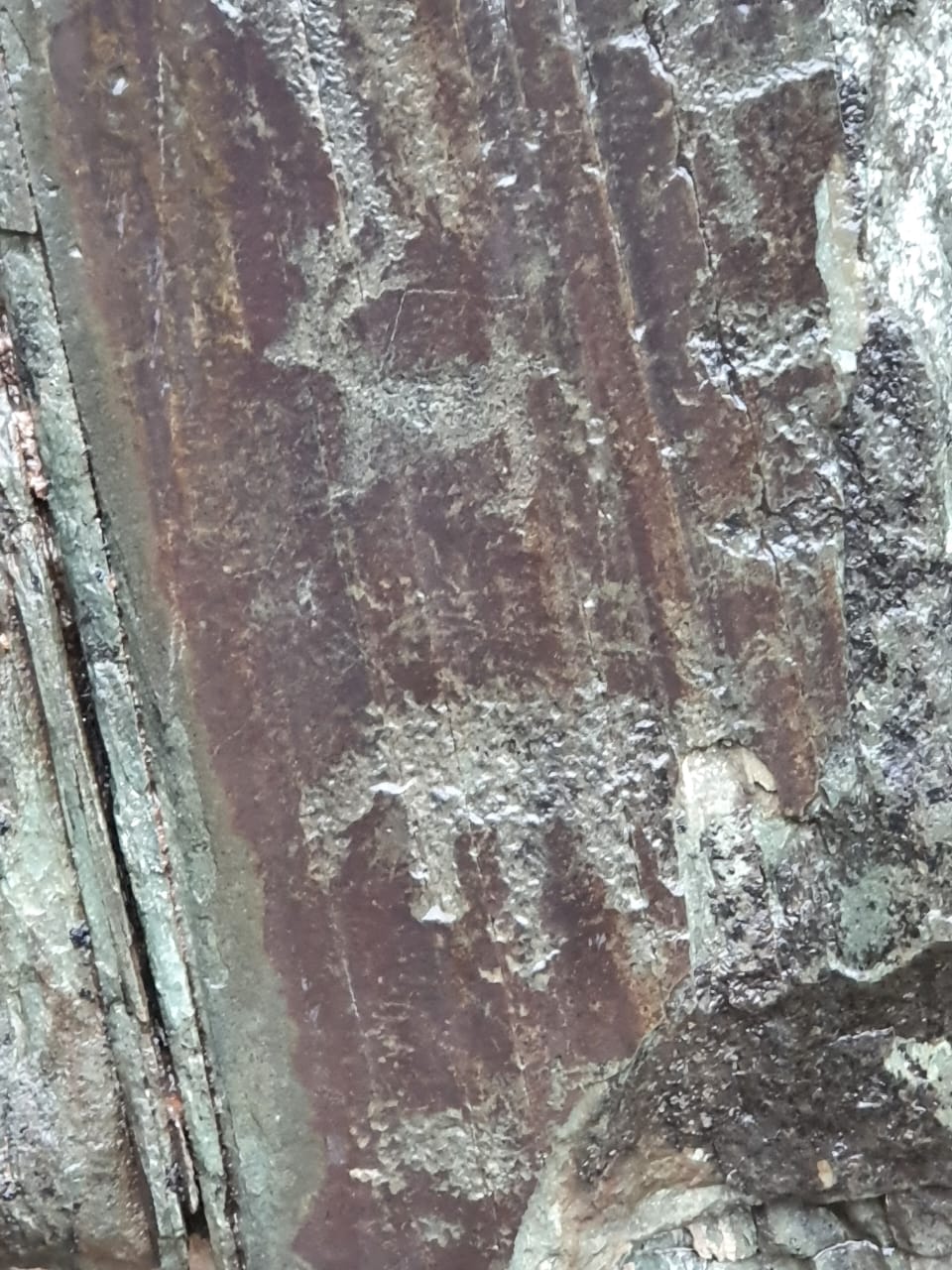 Звуки духов Алтая      New!!! (7/53)