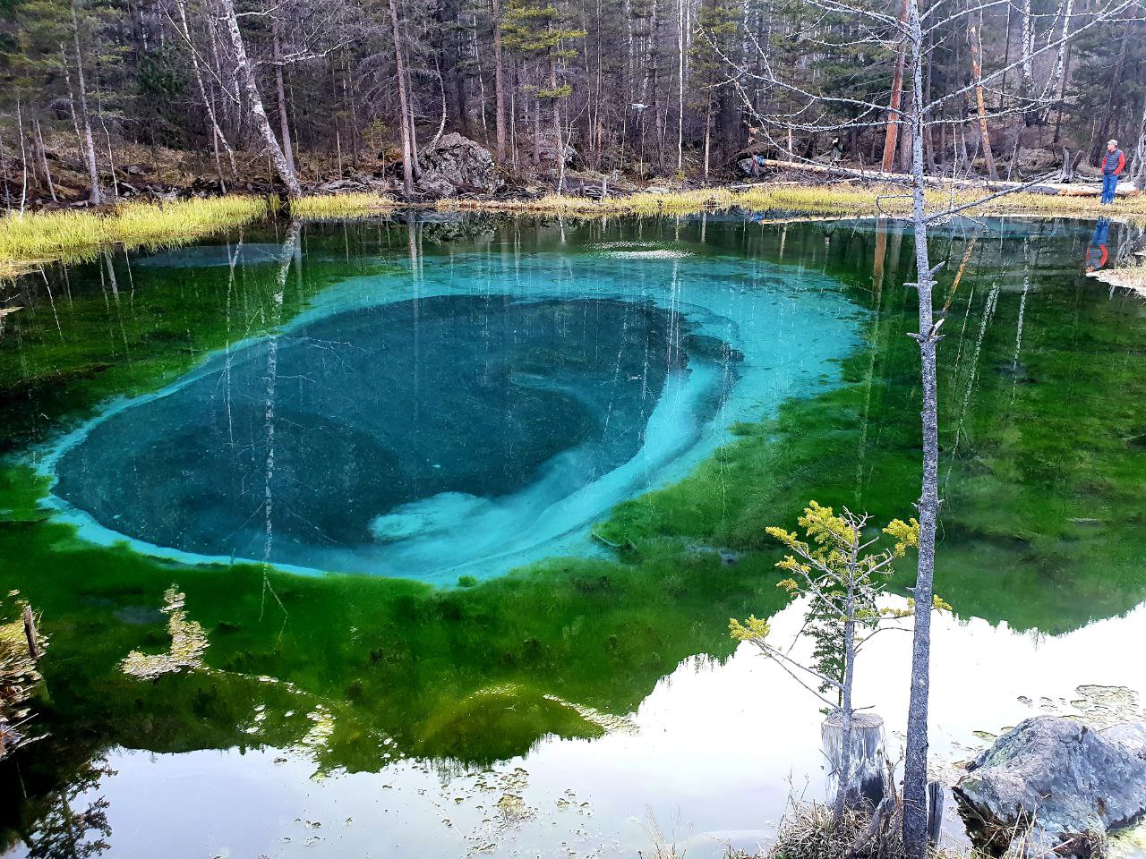 Звуки духов Алтая      New!!! (12/53)