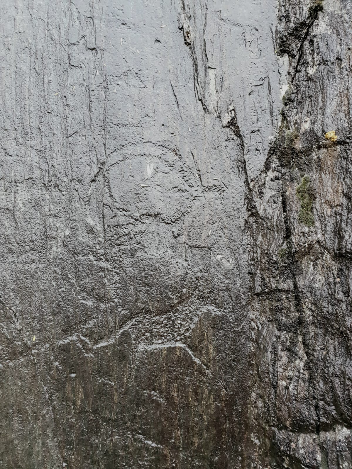 Звуки духов Алтая      New!!! (8/53)