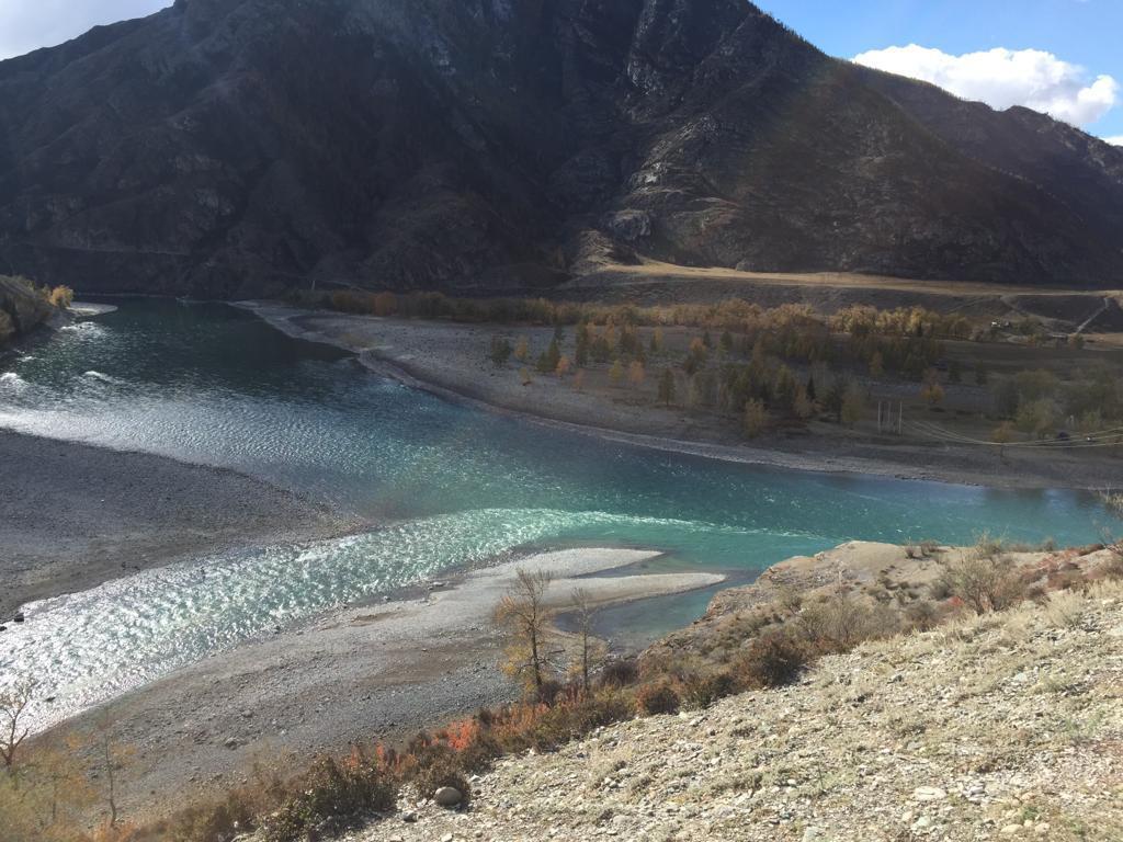 Звуки духов Алтая      New!!! (2/53)