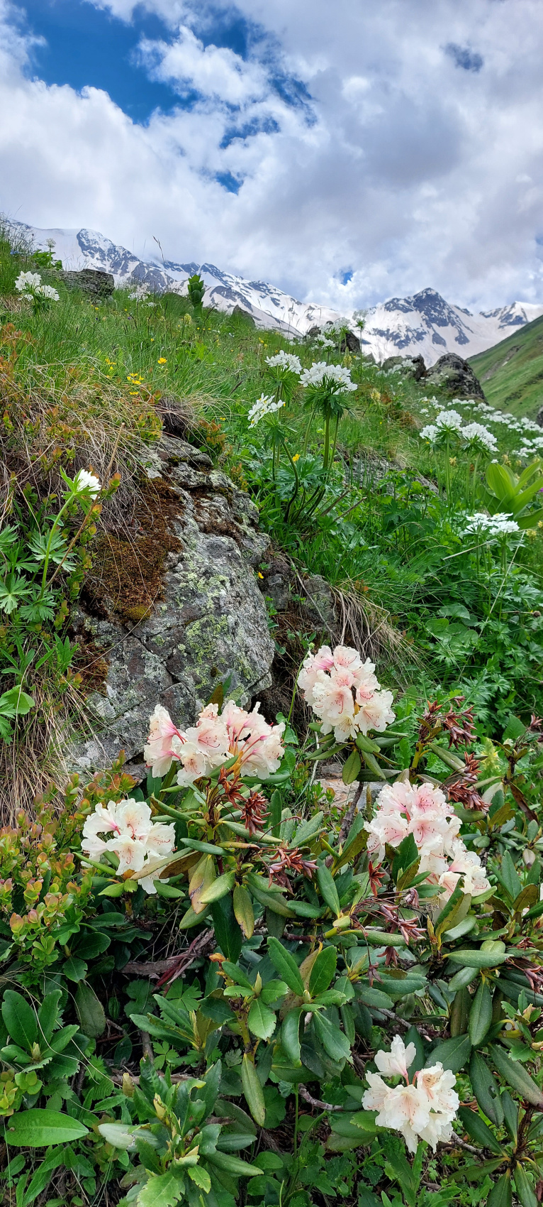 Приэльбрусье Pro. Треккинг к новым озерам (40/79)