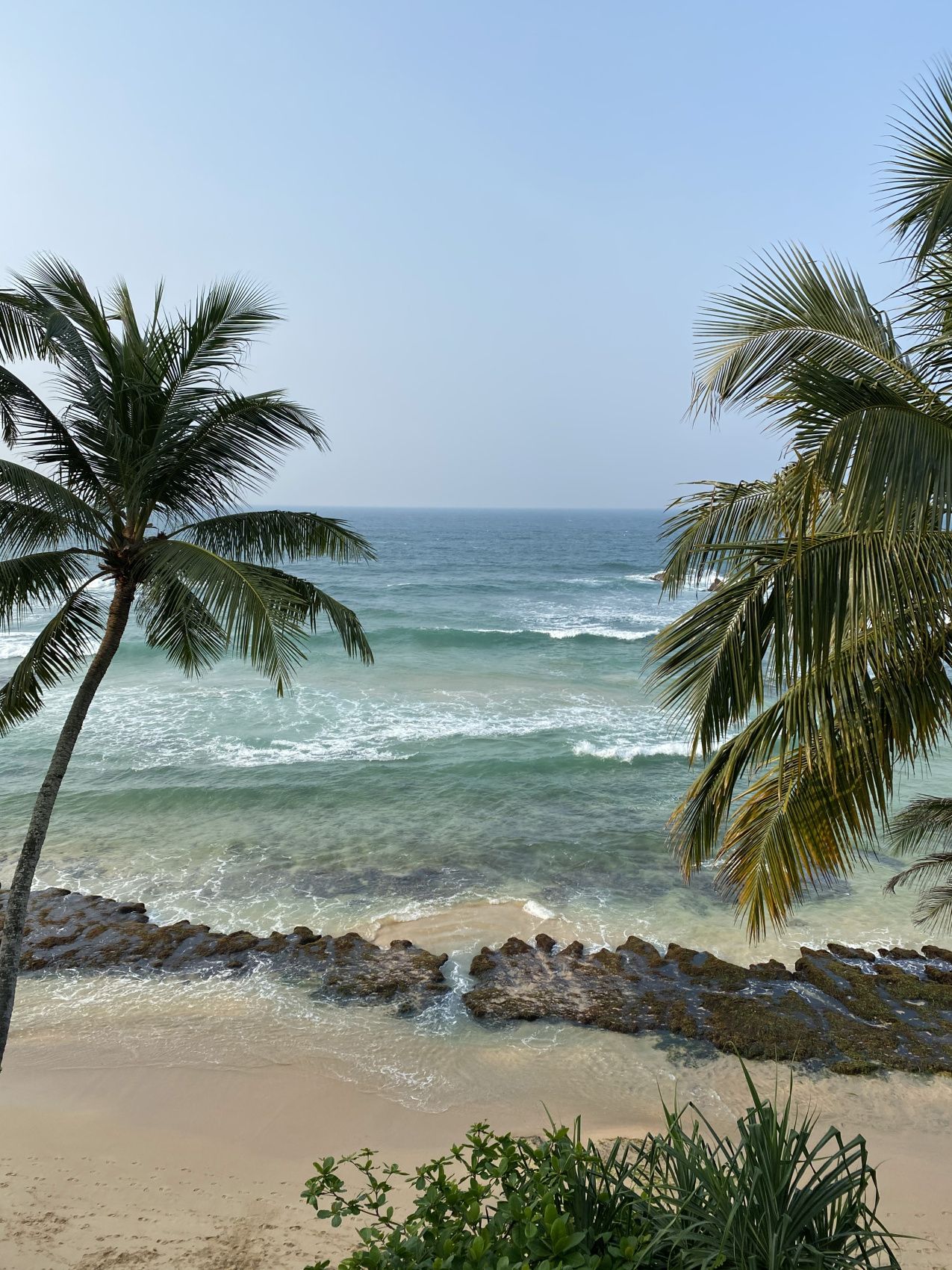 Новый год на Шри-Ланке (17/54)