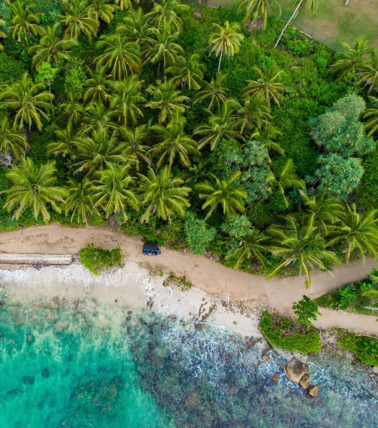 Новый год на Шри-Ланке (21/54)