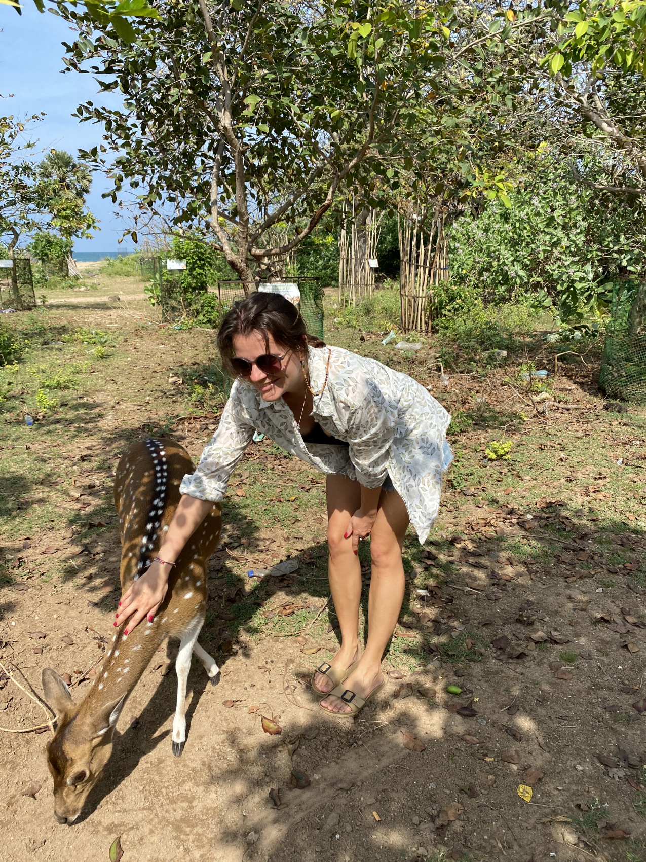Шри-Ланка. 14 насыщенных дней твоей жизни! Восточные пляжи, горы, чай, киты и слоны (9/67)