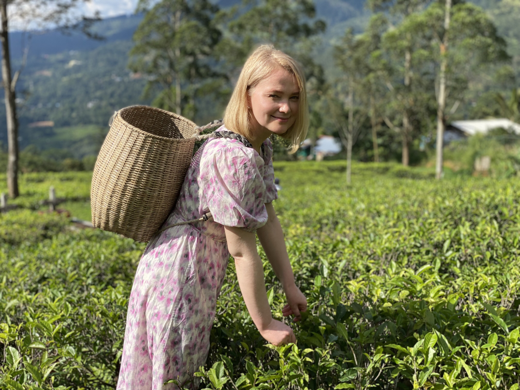 Шри-Ланка. 14 насыщенных дней твоей жизни! Восточные пляжи, горы, чай, киты и слоны (10/67)