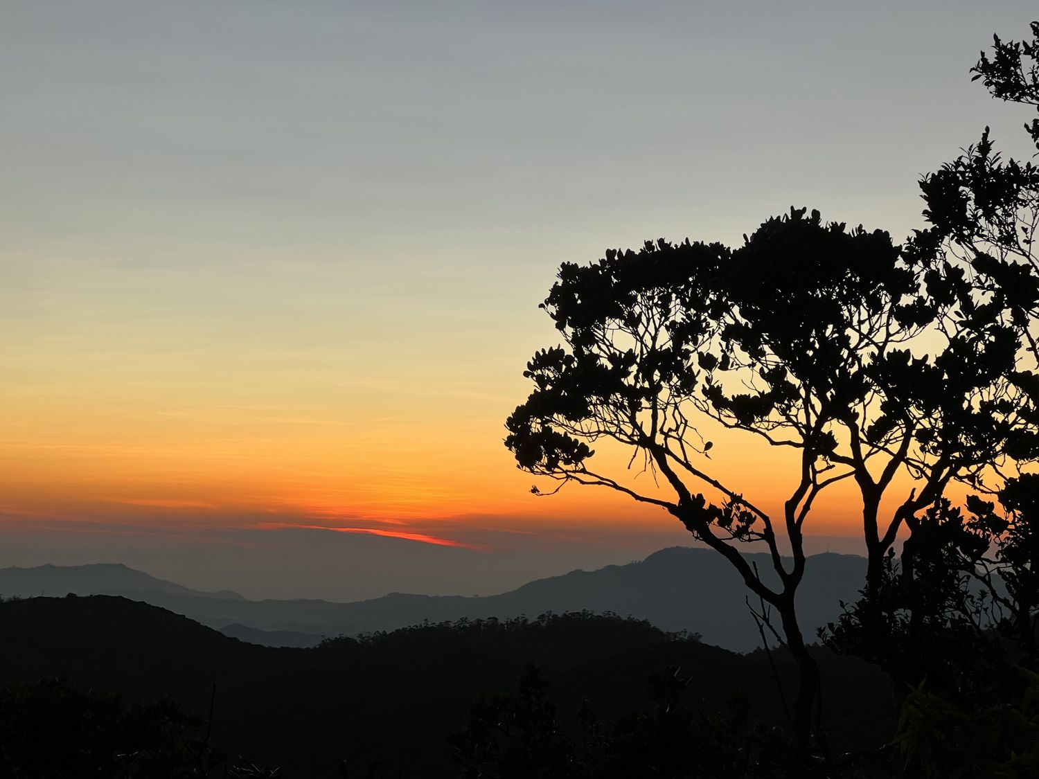Новый год на Шри-Ланке (13/54)