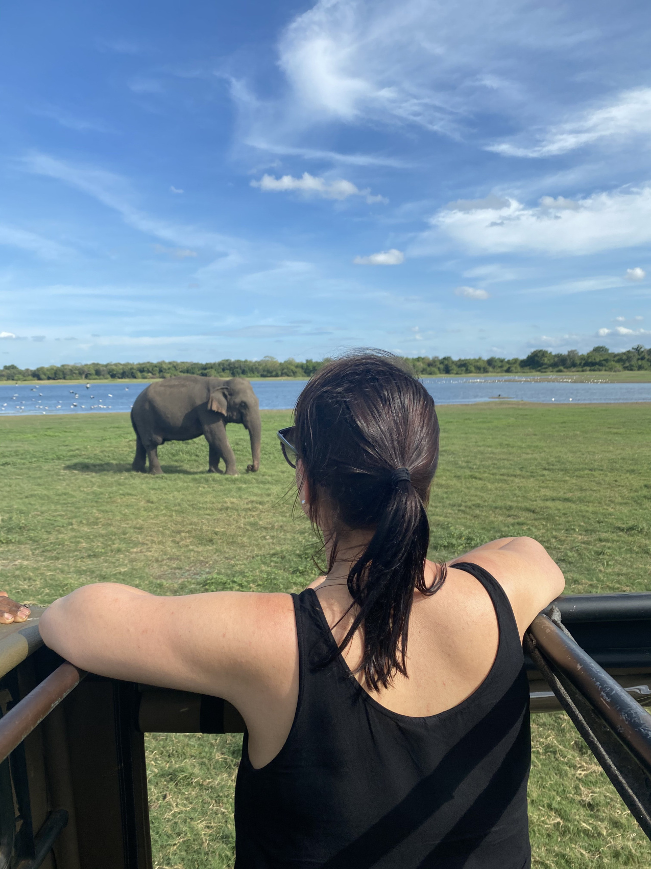 Новый год на Шри-Ланке (8/54)