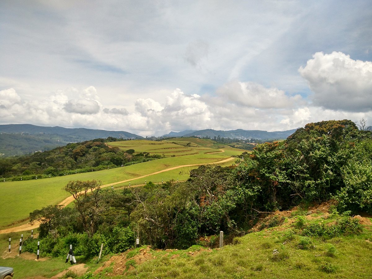 2-х дневный тур по Шри-Ланке: Канди, Нувара Элия, Амбулувава (6/12)