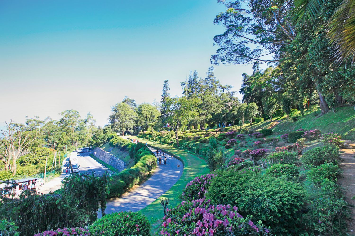 2-х дневный тур по Шри-Ланке: Нувара Элия, Элла, поездка на поезде (7/13)