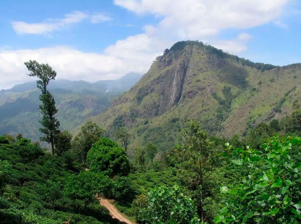 2-х дневный тур по Шри-Ланке: Нувара Элия, Элла, поездка на поезде (3/13)